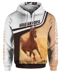 HQC0116 - ARABIAN HORSE 4
