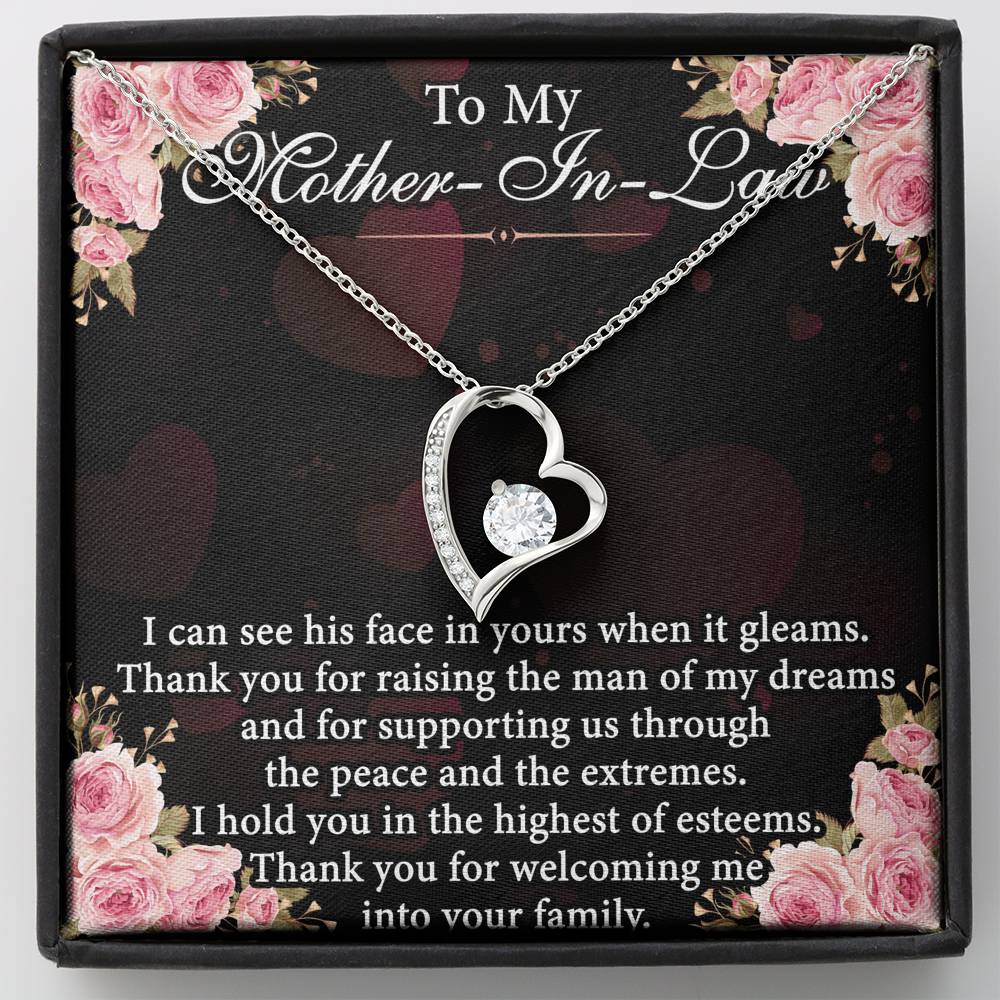 To My Mother In Law I Can See His Face In Yours Mother's Day Gift Forever Love Necklace
